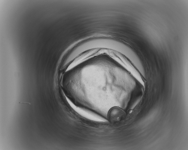 X0000115150388200911241533