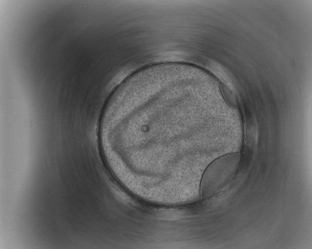 X0000115150389200911241533