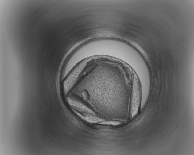 X0000115150391200911241533