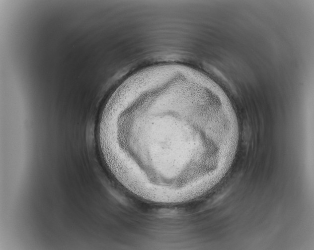 X0000115150394200911241533