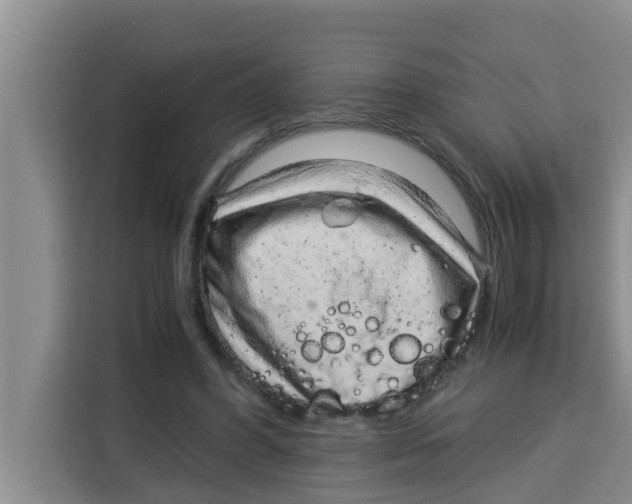 X0000115150396200911241533