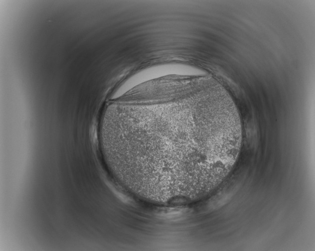 X0000115150398200911241533