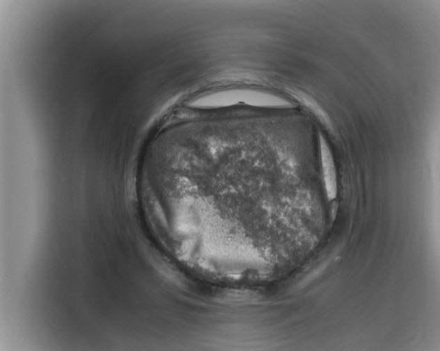 X0000115150399200911241533