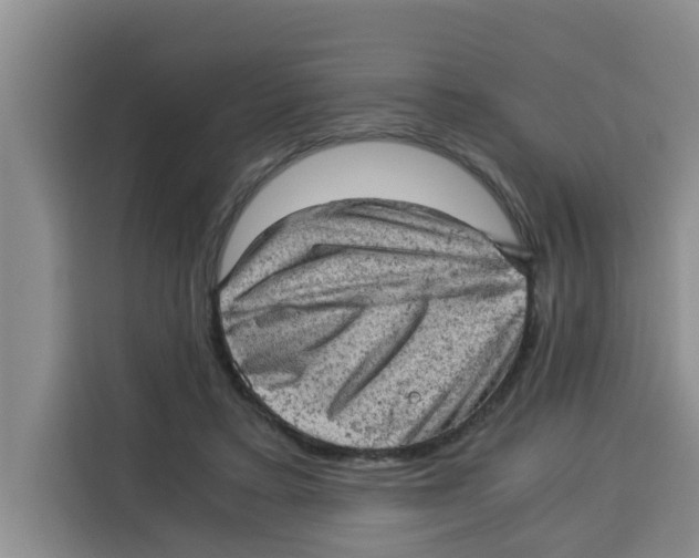 X0000115150403200911241533