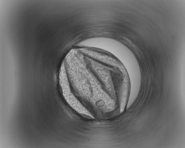 X0000115150405200911241533