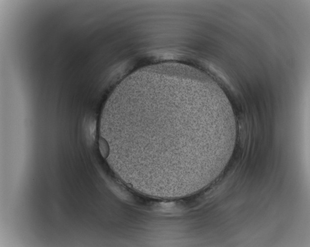 X0000115150406200911241533