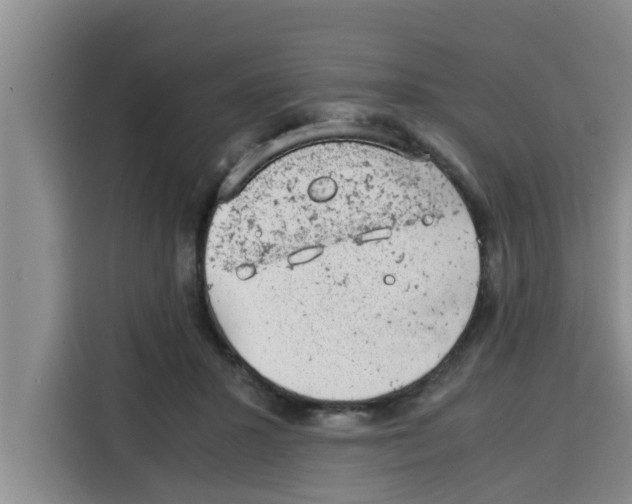 X0000115150407200911241533