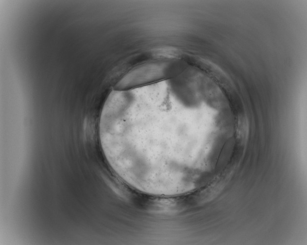 X0000115150409200911241533