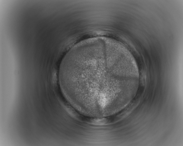 X0000115150410200911241533