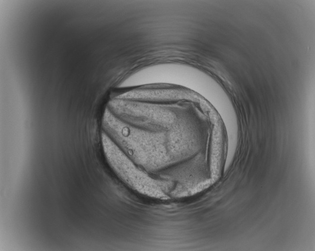 X0000115150411200911241533