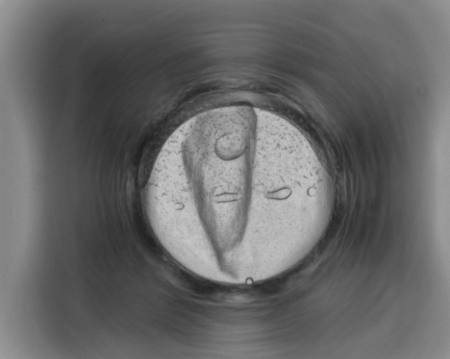 X0000115150412200911241533