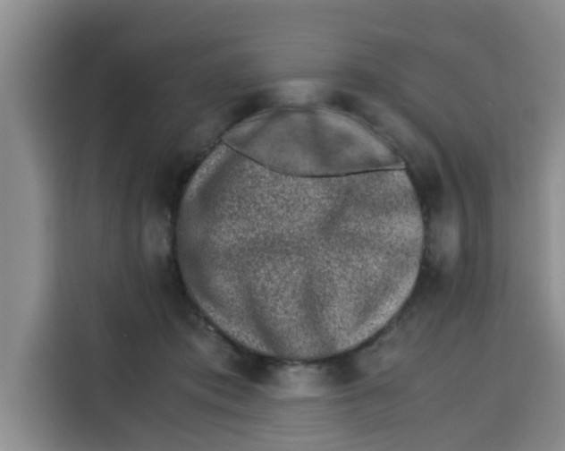 X0000115150413200911241533