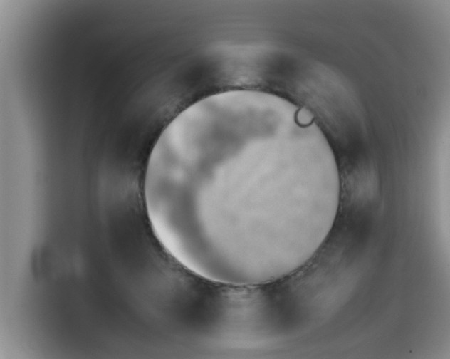 X0000115150415200911241533