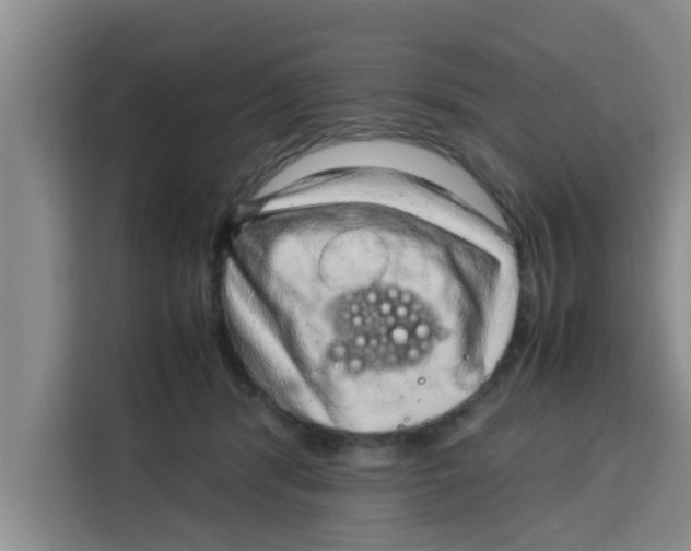 X0000115150416200911241533