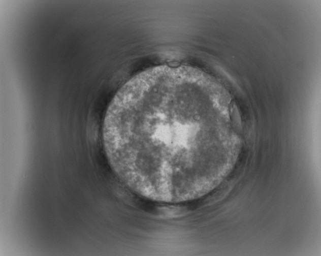 X0000115150417200911241533