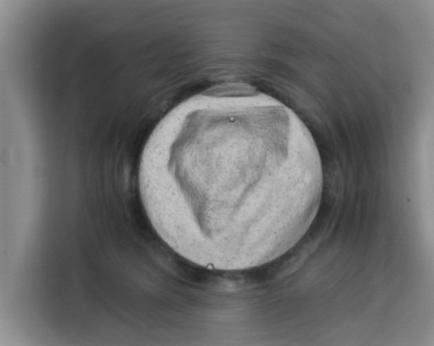 X0000115150420200911241533