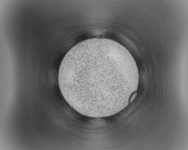 X0000115150421200911241533