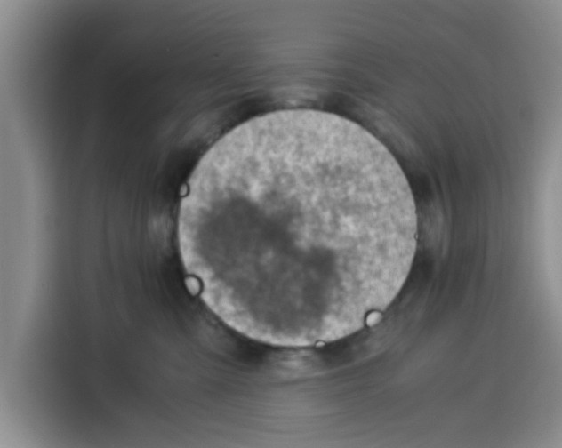 X0000115150427200911241532