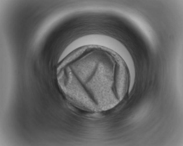 X0000115150431200911241532