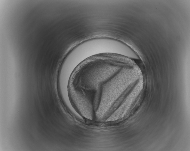 X0000115150434200911241532