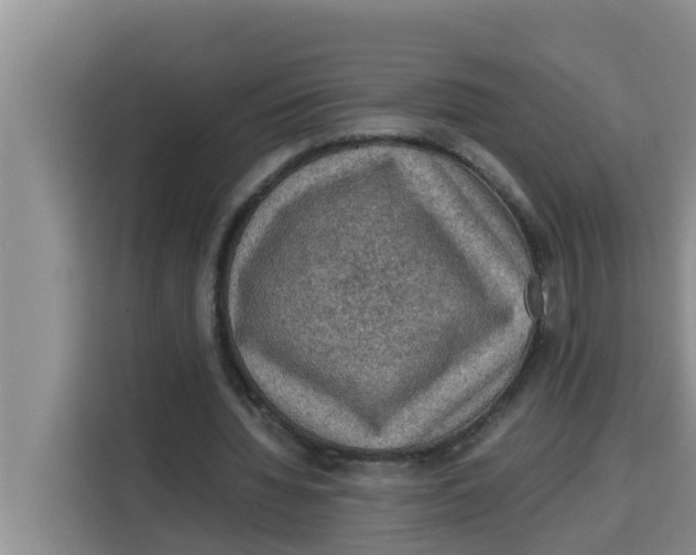 X0000115150436200911241532