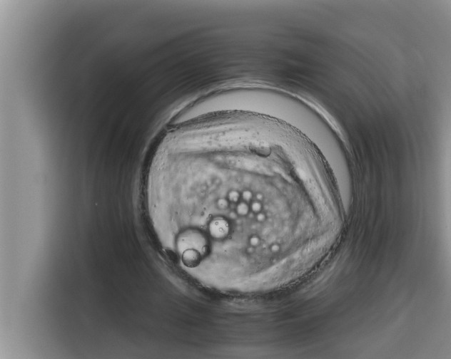 X0000115150437200911241532