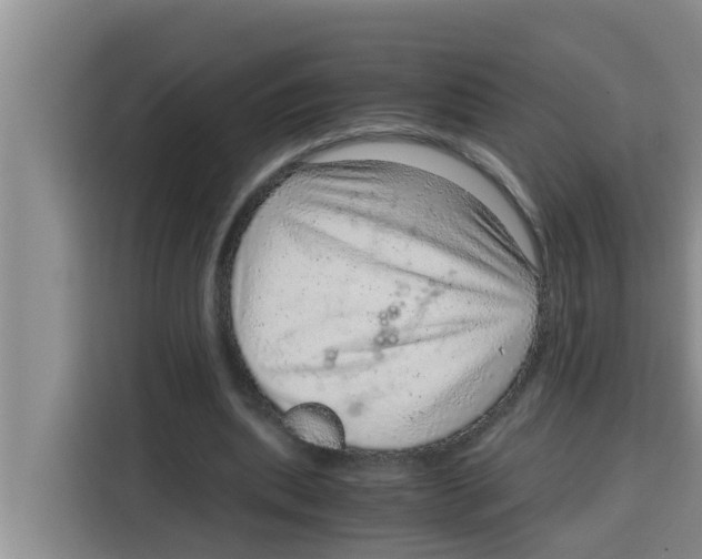 X0000115150439200911241532