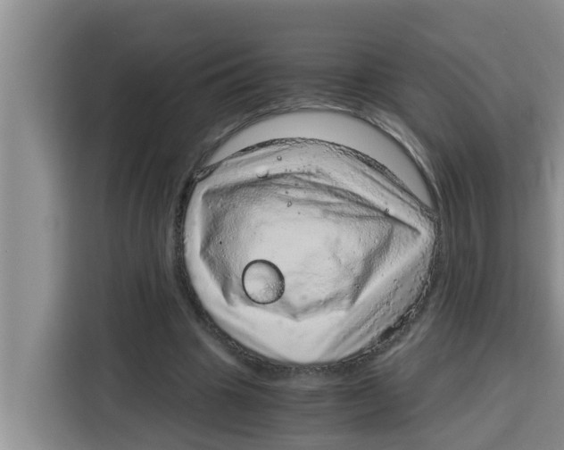 X0000115150441200911241532