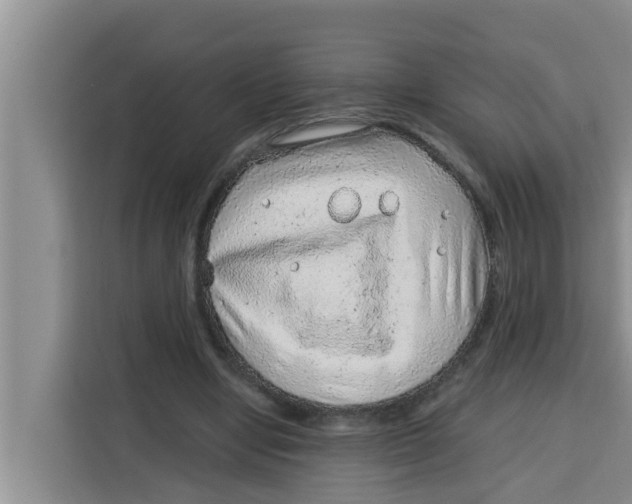 X0000115150442200911241532