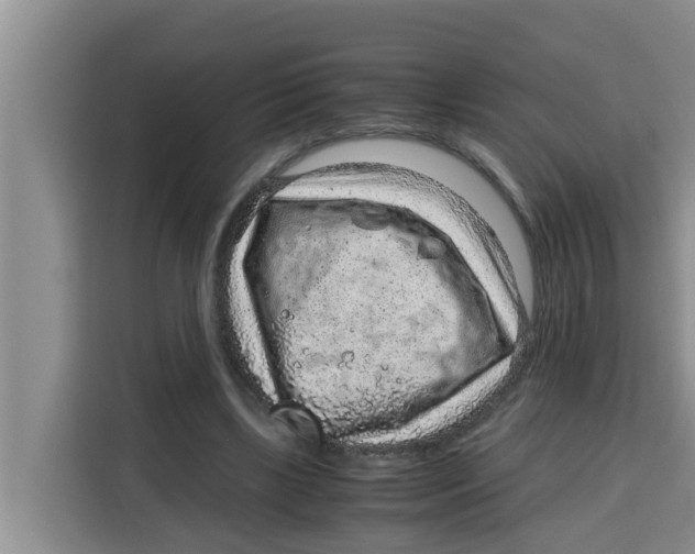 X0000115150443200911241532