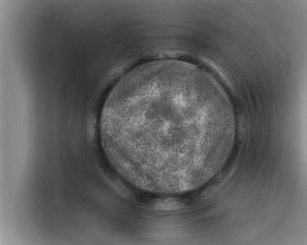 X0000115150451200911241532