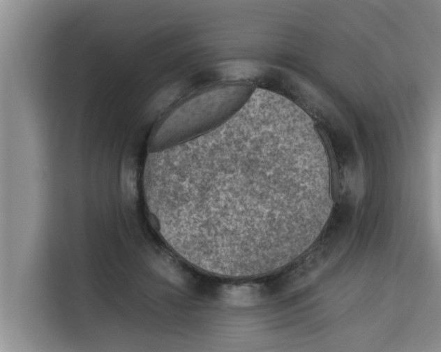 X0000115150452200911241532