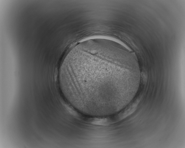 X0000115150458200911241532