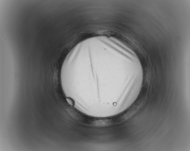 X0000115150461200911241532