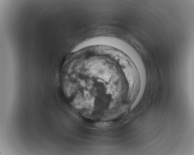 X0000115150465200911241532