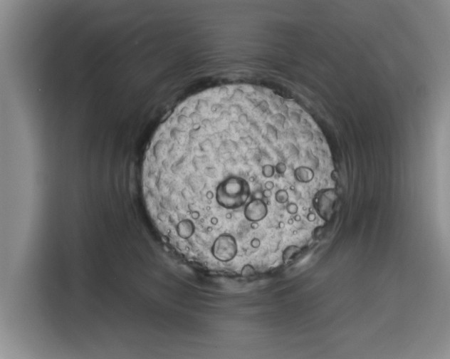 X0000115150470200911241532