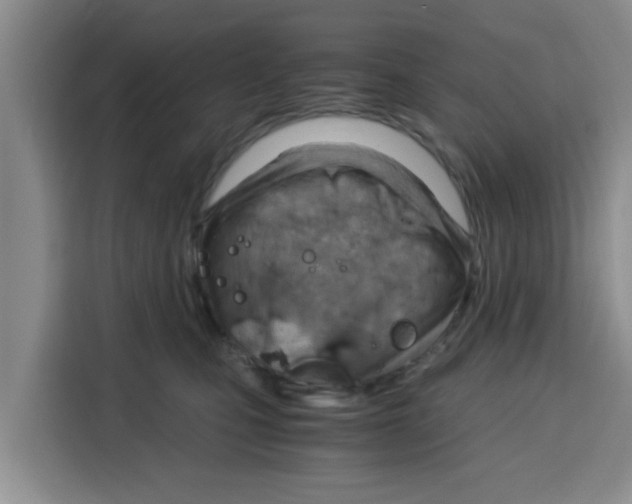 X0000115150471200911241532