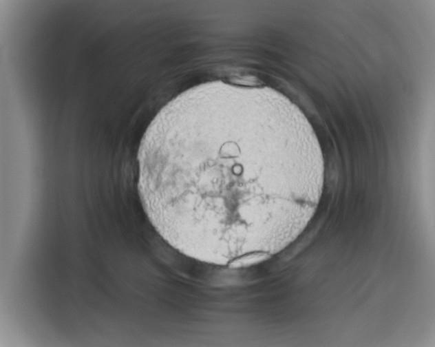 X0000115150473200911241532