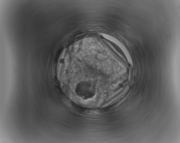 X0000115150475200911241532