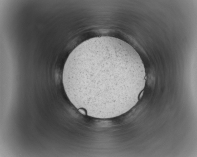 X0000115150476200911241532