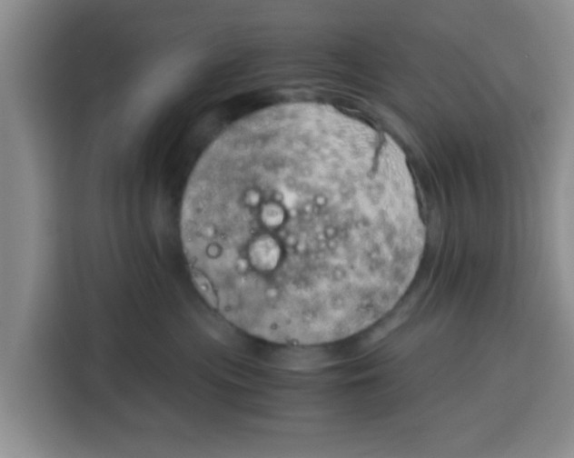 X0000115150477200911241532