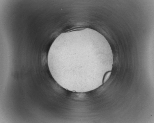 X0000115150478200911241532