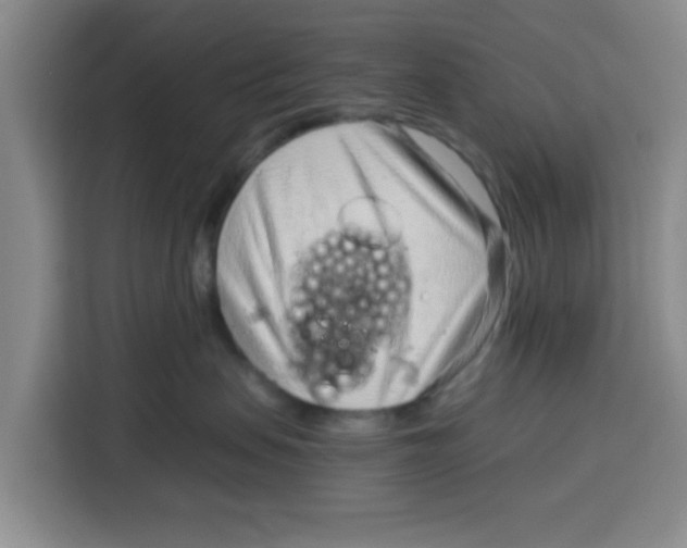 X0000115150479200911241532