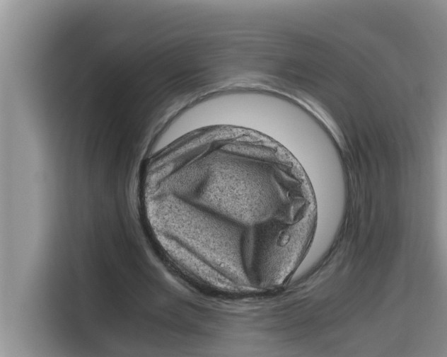 X0000115150485200911241532