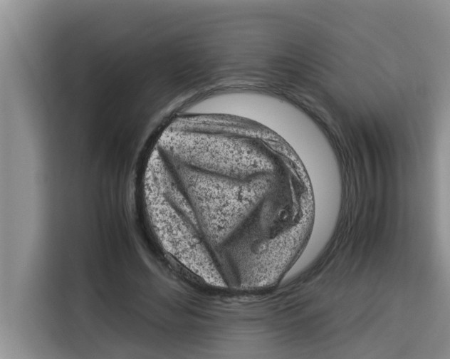 X0000115150492200911241532