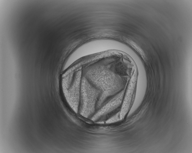 X0000115150493200911241532