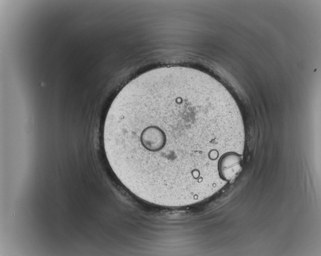 X0000115150497200911241532