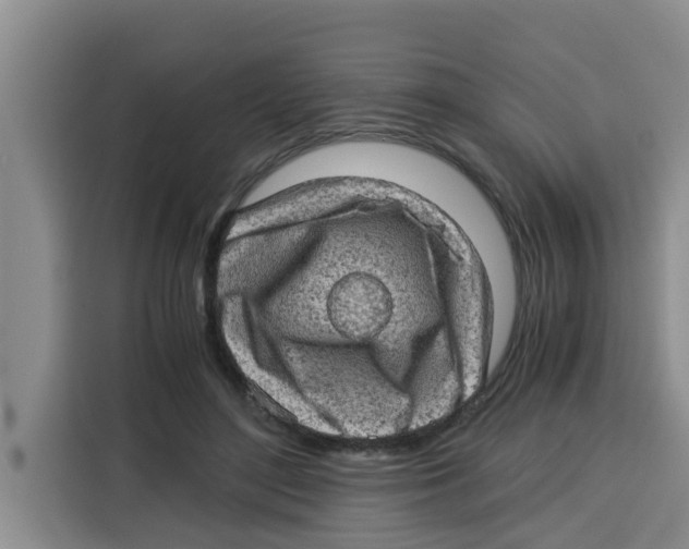 X0000115150500200911241531