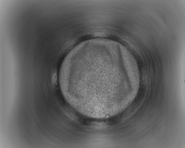 X0000115150502200911241531