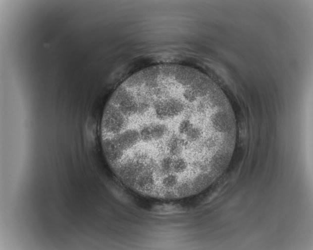 X0000115150503200911241531